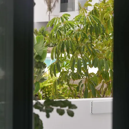 Oasis In Paradise With Pool