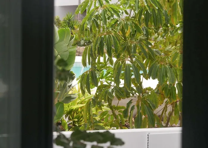 Oasis In Paradise With Pool